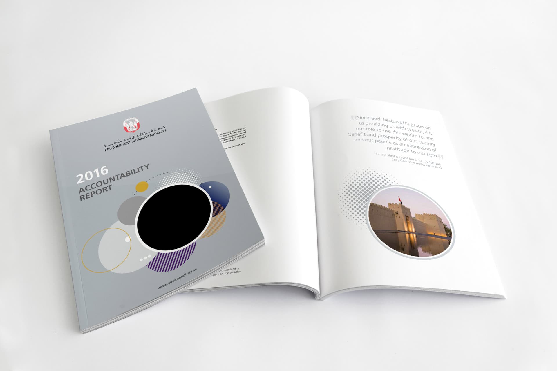 Abu Dhabi Accountability Authority portfolio image 3