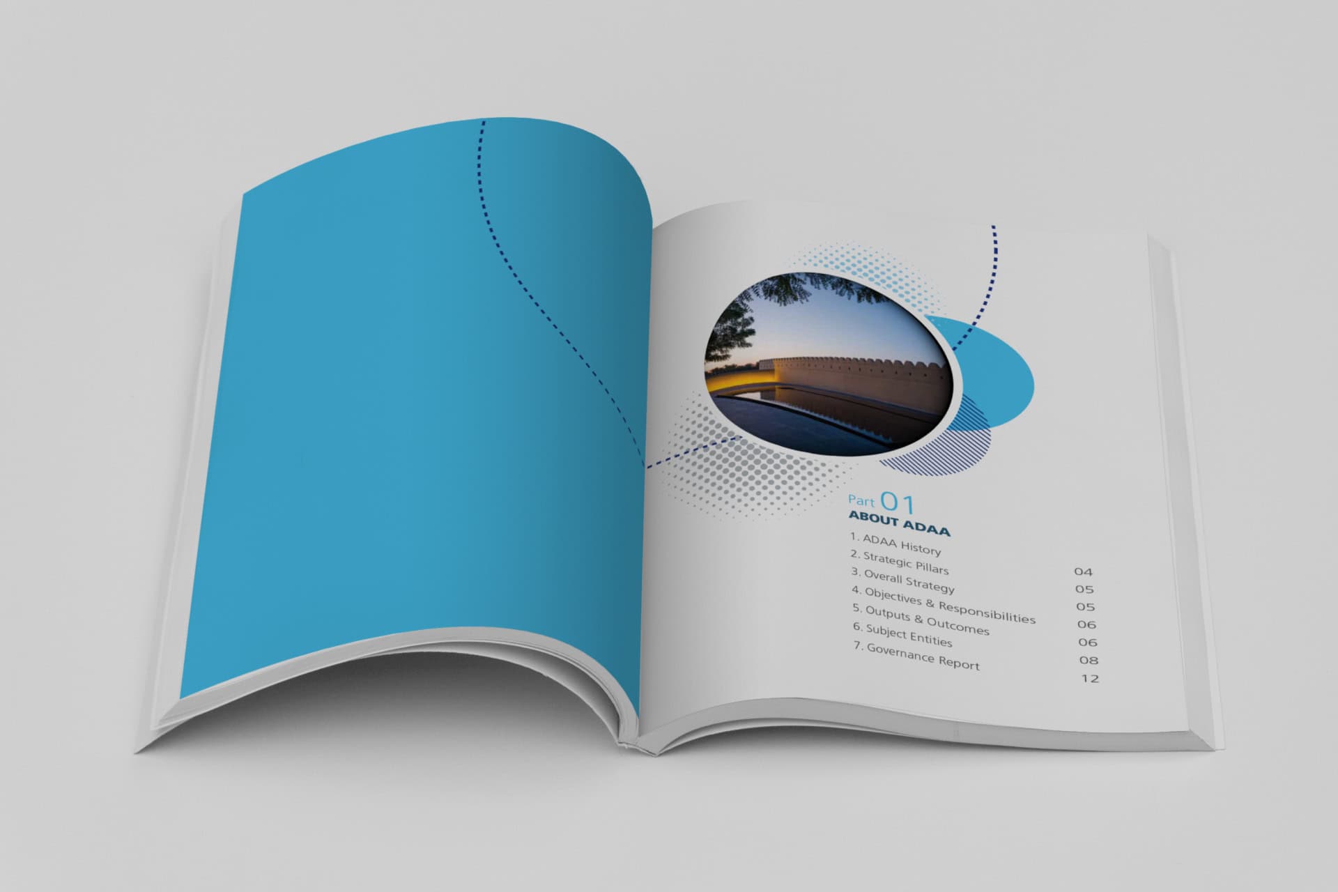 Abu Dhabi Accountability Authority portfolio image 4