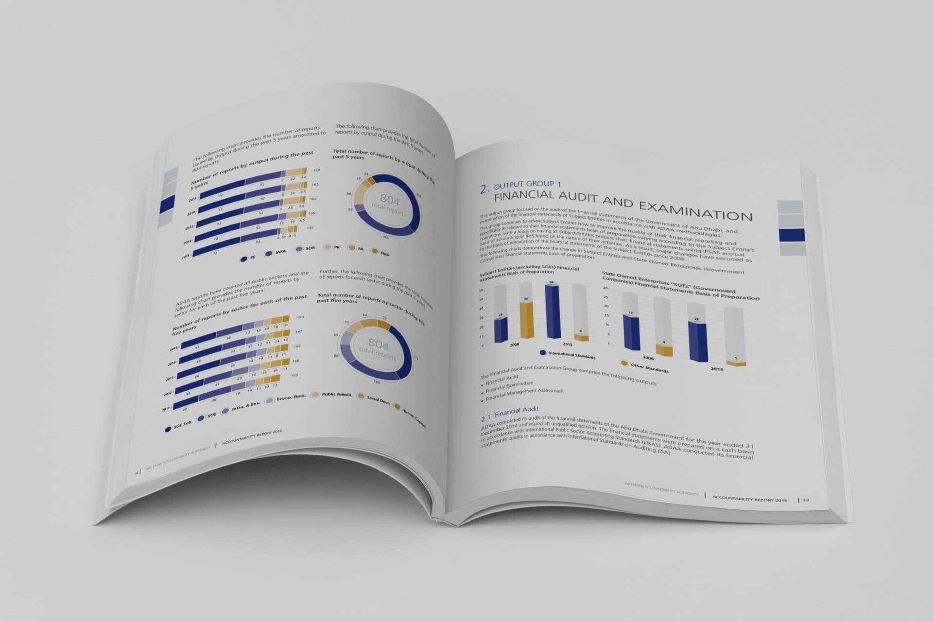 Abu Dhabi Accountability Authority portfolio image 5