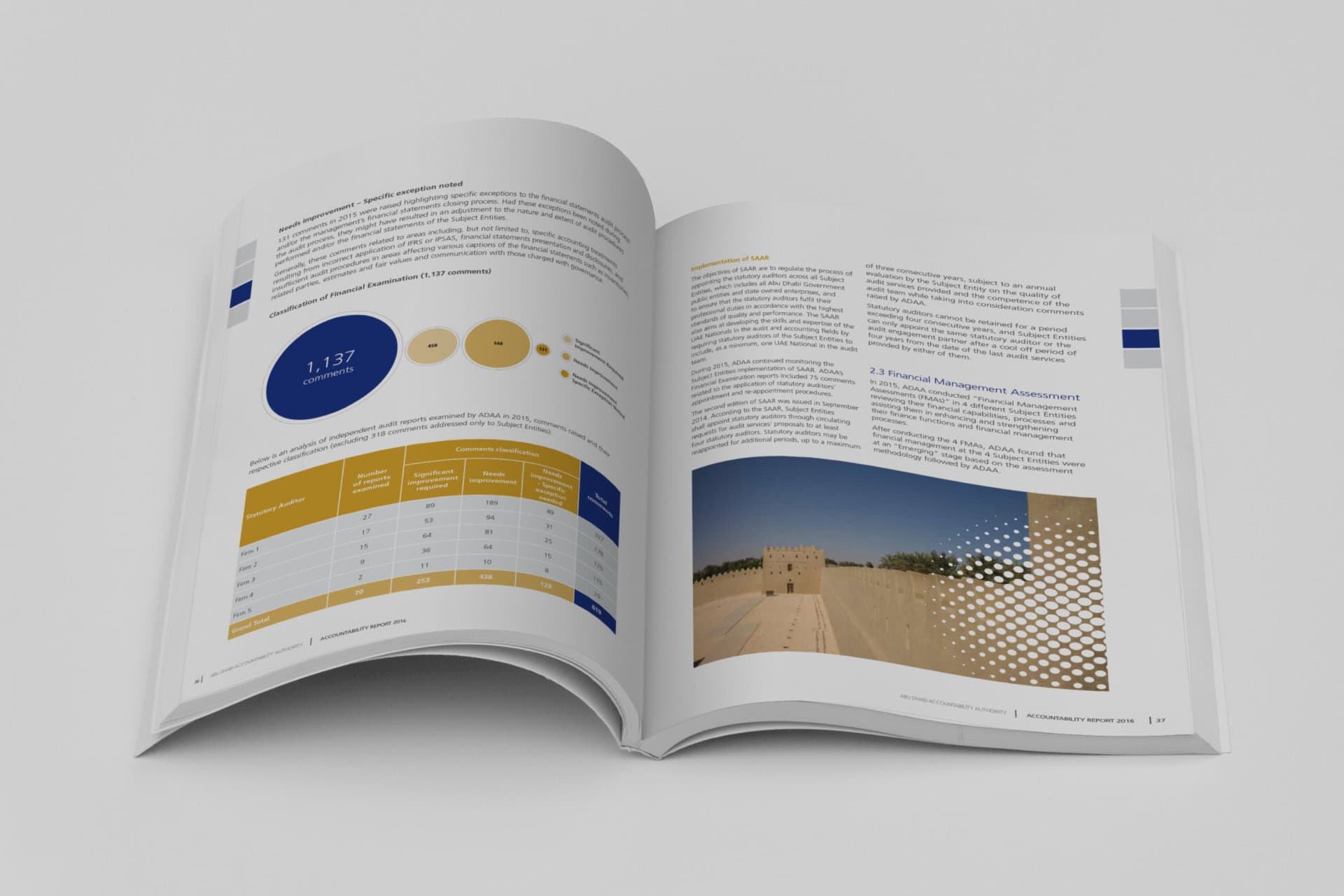 Abu Dhabi Accountability Authority portfolio image 6