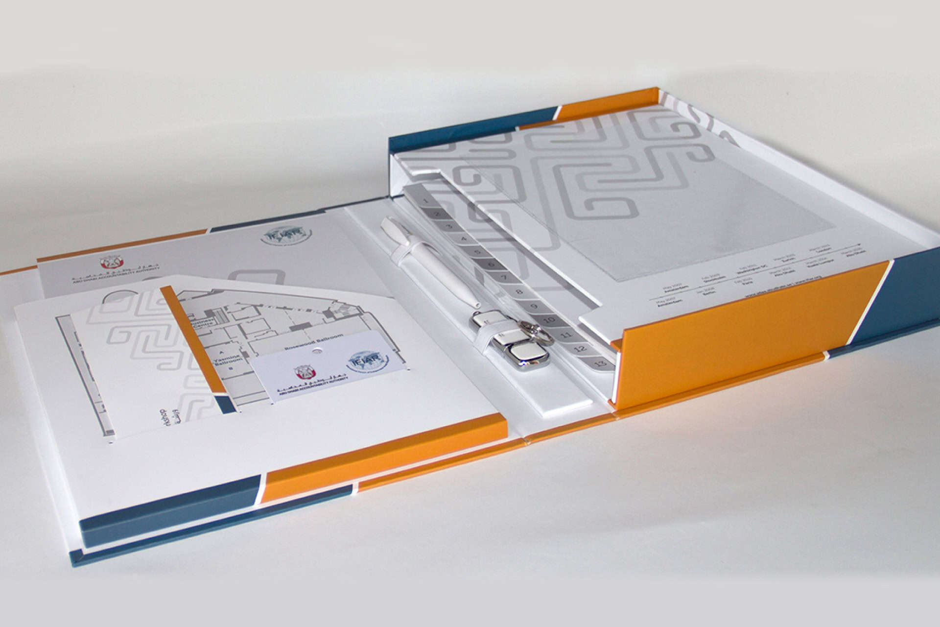 Abu Dhabi Accountability Authority portfolio image 1