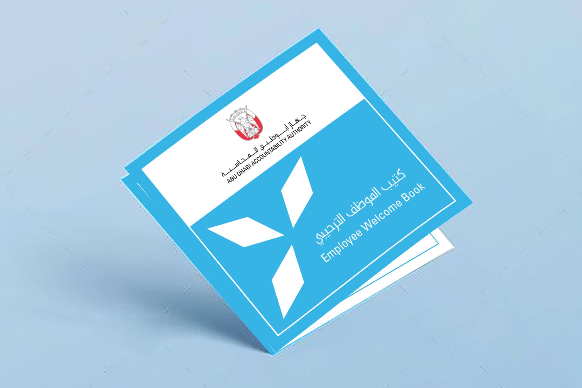 Abu Dhabi Accountability Authority portfolio image 9