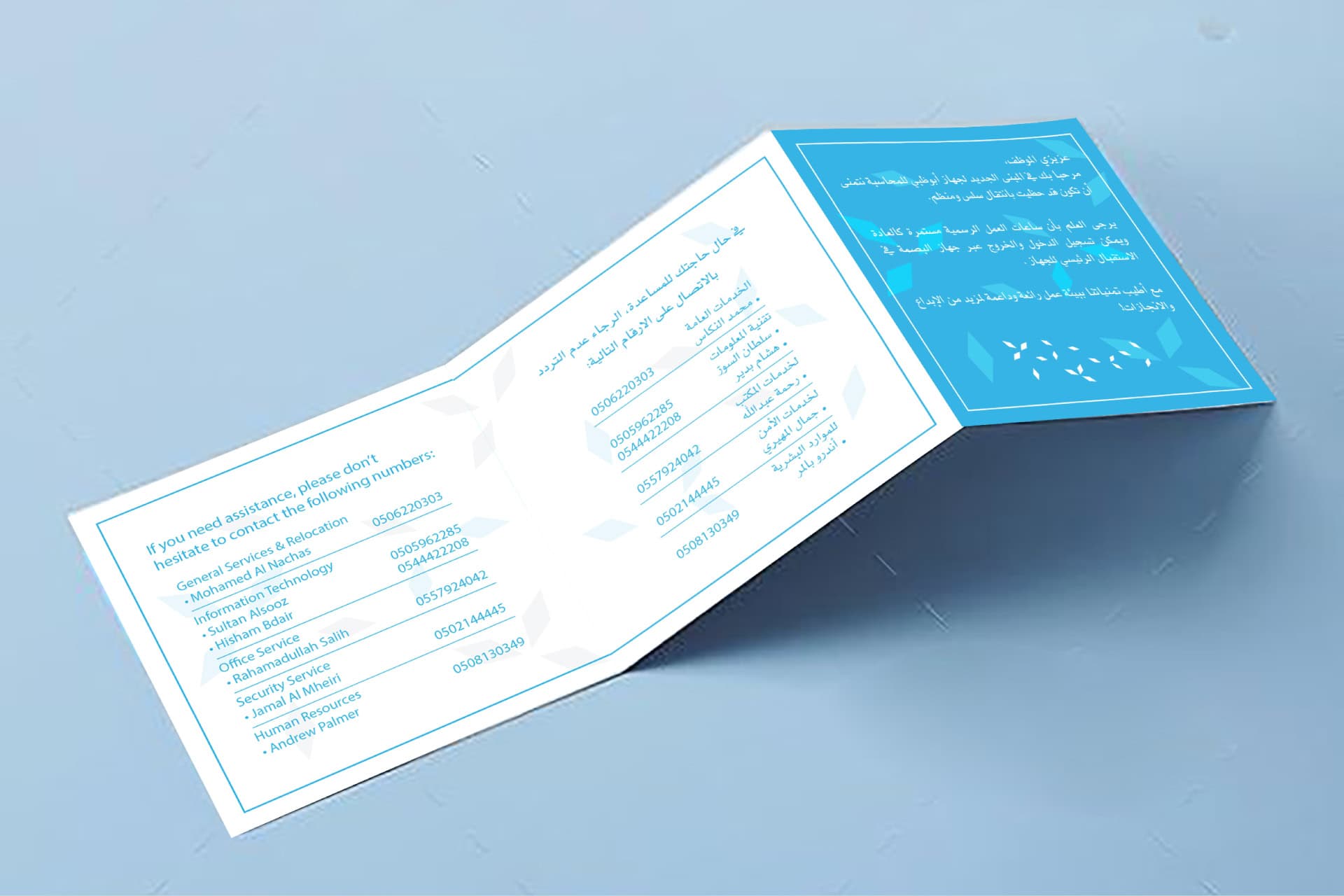 Abu Dhabi Accountability Authority portfolio image 12