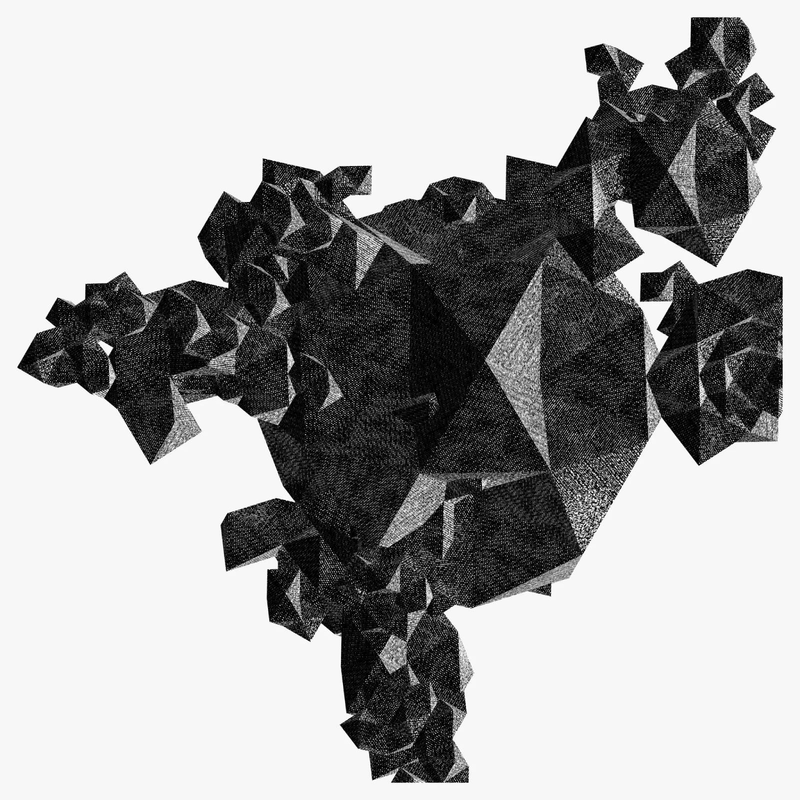 Bird Marketing Soars into New Heights: Expanding into Key US Markets