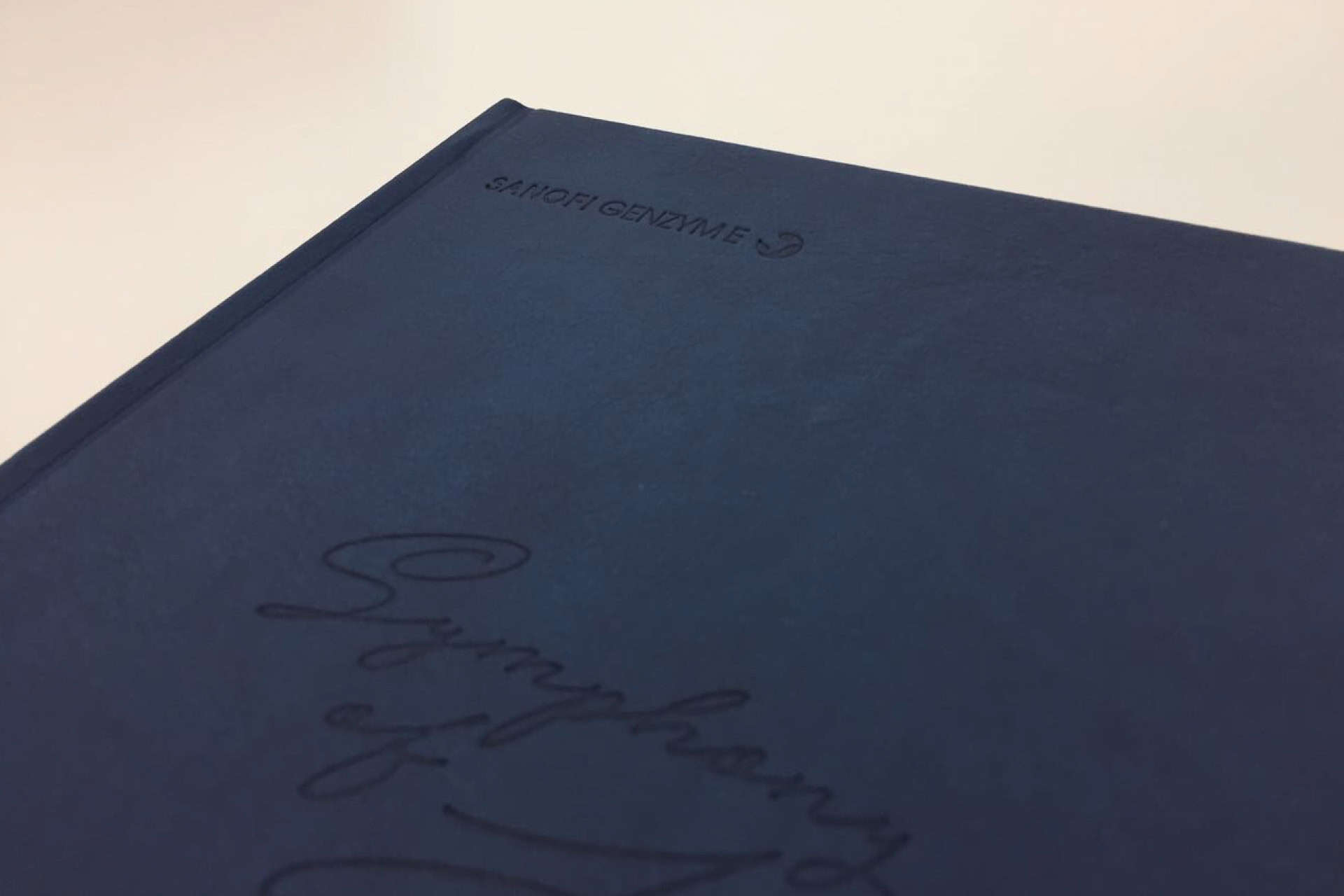 Sanofi portfolio image 2