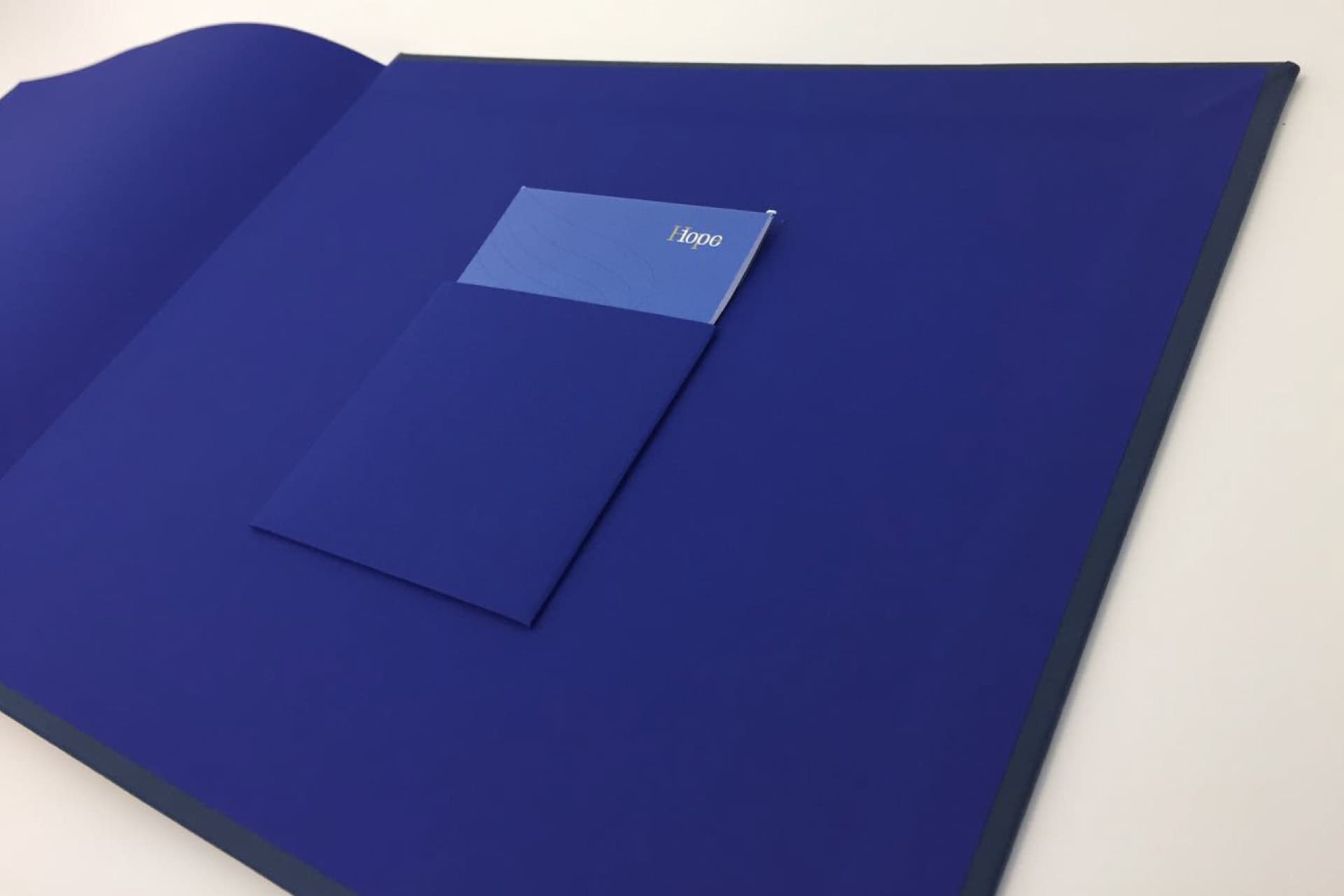 Sanofi portfolio image 5