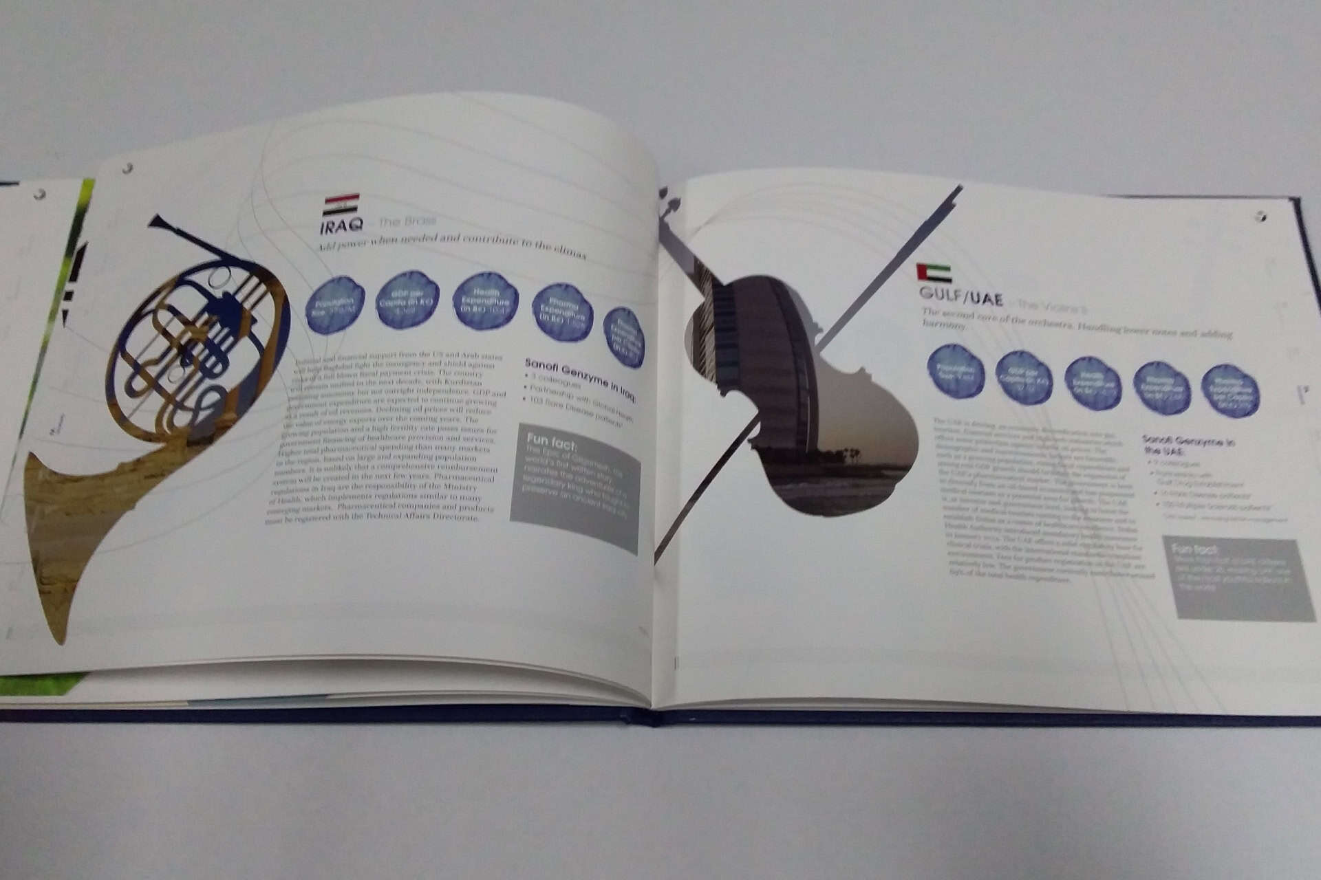 Sanofi portfolio image 8