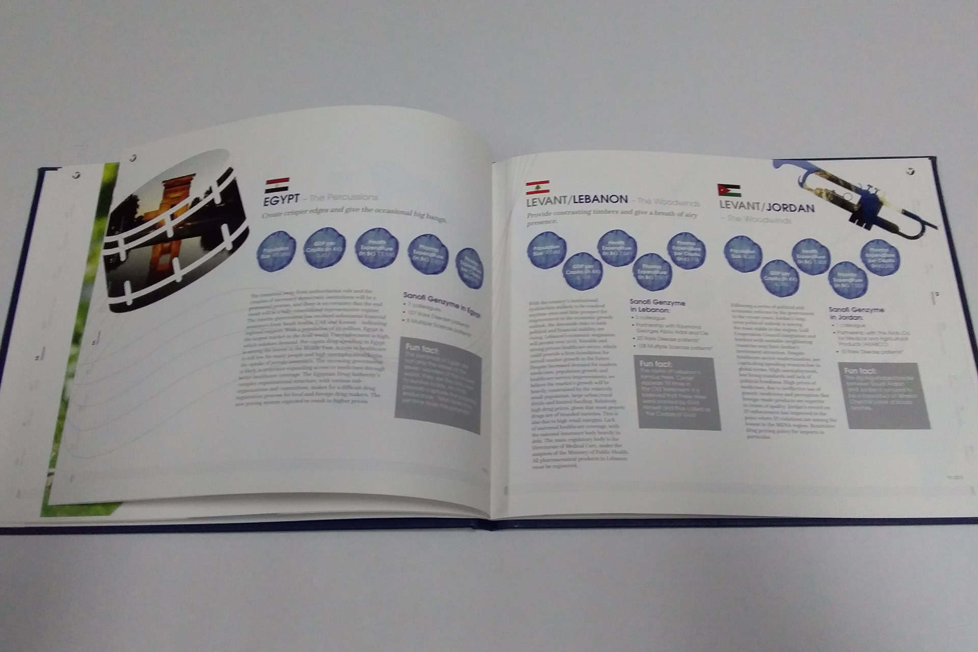 Sanofi portfolio image 10