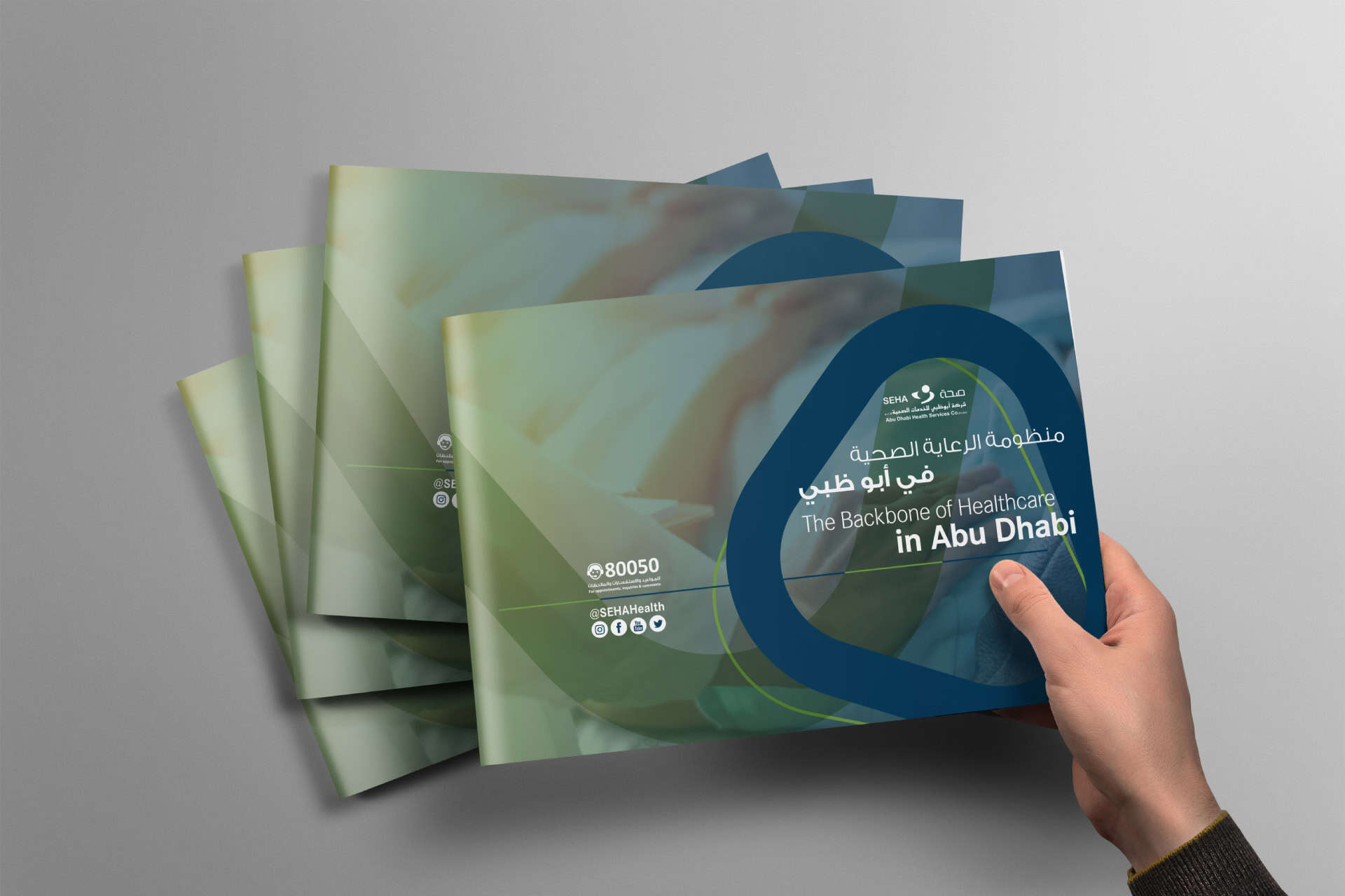 SEHA portfolio image 1