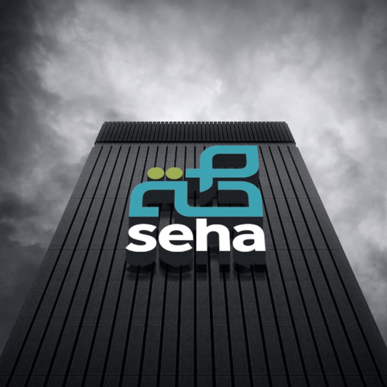 SEHA portfolio image 5