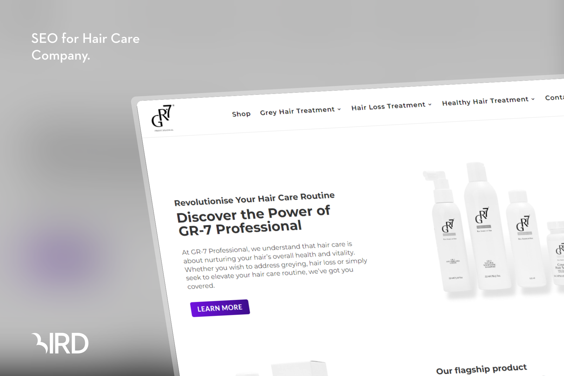 Bird Marketing - GR-7 Website Visual